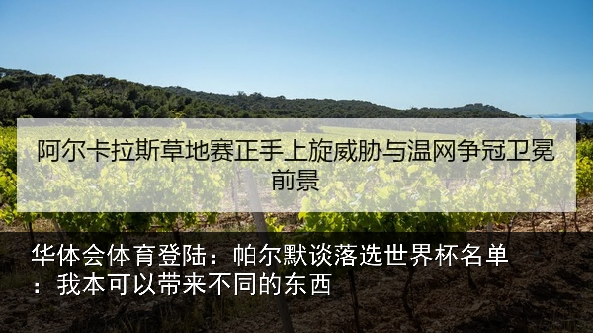 华体会体育登陆:帕尔相关情况单:我本可相关情况