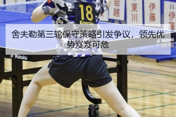 she-fu-lei-di-san-lun-bao-shou-ce-lve-yin-fa-zheng-yi-ling-xian-you-shi-ji-ji-ke-wei-3-785.jpg
